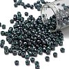 TOHO 6/0 Round Beads SEED-XTR06-1207-1