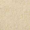 TOHO Round Seed Beads SEED-JPTR15-0147-2