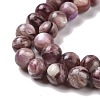 Natural Lepidolite/Purple Mica Stone Beads Strands G-G925-02B-4