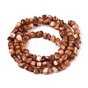 Natural Freshwater Shell Beads Strands SHEL-N037-04C-2