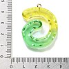 Resin Pendant FIND-Q107-01G-03-3