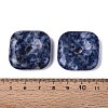 Natural Blue Spot Jasper Pendants G-Q602-02D-3