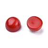 Synthetic Coral Cabochons X-G-P393-R65-6MM-2