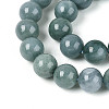 Natural Jadeite Beads Strands G-N353-07C-01-4
