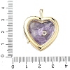 Brass Micro Pave Clear Cubic Zirconia Pendants KK-C251-07G-03-3