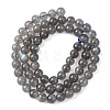 Natural Labradorite Round Bead Strands G-M263-B-03-6