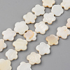 Natural Freshwater Shell Beads Strands SHEL-S276-84-1