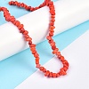 Natural Magnesite Beads Strands TURQ-P001-02A-10-5