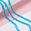 Faceted(32 Facets) Glass Beads Strands GLAA-E037-03B-03-4