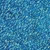 Glass Seed Beads SEED-US0003-2mm-103B-2