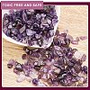 Natural Amethyst Chips Beads G-GA0001-19-4