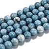 Natural Gemstone Beads Strands G-L367-01-12mm-4
