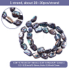1 Strand Natural Abalone Shell/Paua Shell Beads Strands SSHEL-PA0001-03-2