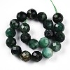 Natural Fuchsite Beads Strands G-S345-10mm-33-3