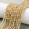 Natural Yellow Garnet Beads Strands G-Z129-C01-5mm-01-1