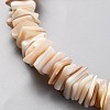 Natural Freshwater Shell Beads Strands SHEL-C001-10A-3