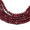 Natural Garnet Beads Strands G-J002-20-4