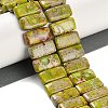 Natural Imperial Jasper Beads Strands G-L604-F01-01E-2