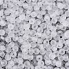 FGB Frosted Transparent Glass Seed Beads SEED-N013-02A-01-3