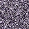 MIYUKI Delica Beads SEED-X0054-DB1065-3