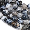 Natural Fire Crackle Agate Bead Strands G-K166-07F-10mm-07-3