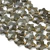 Natural Gray Labradorite Beads Strands G-L657-A02-01-4
