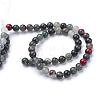 Natural African Bloodstone Beads Strands G-R345-10mm-50-2