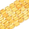 Natural Amber Beads Strands G-C260-A01-04-2
