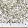 MIYUKI Round Rocailles Beads SEED-G007-RR0181-2