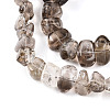 Natural Smoky Quartz Beads Strands G-B072-C01-01-01-3