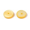Natural Freshwater Shell Beads Strands SHEL-N037-03A-06-3