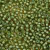 TOHO Round Seed Beads X-SEED-TR11-0946-2