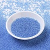 MIYUKI Round Rocailles Beads SEED-G007-RR0159-2