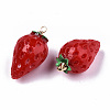 Resin Pendants RESI-S379-001B-2