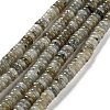 Natural Labradorite Beads Strands G-G084-A03-01-1