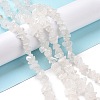 Natural Quartz Crystal Chips Beads Strands F019-2-3