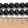 Natural Black Labradorite Beads Strands G-L642-B15-12mm-5