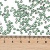 TOHO Round Seed Beads SEED-XTR08-2202-4