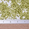 MIYUKI Delica Beads Small SEED-X0054-DBS0124-4