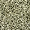 MIYUKI Delica Beads X-SEED-J020-DB1181-3