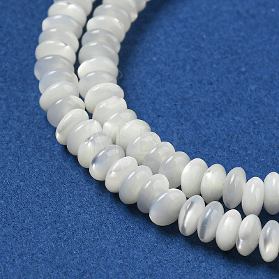 Natural Trochus Shell Beads Strands SSHEL-H072-11-1