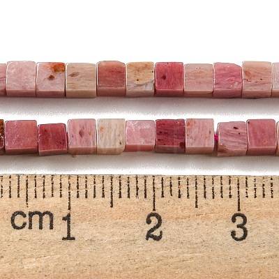 Natural Rhodonite Beads Strands G-C129-A14-01-1