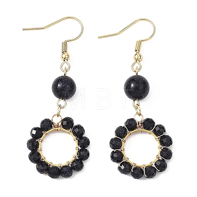 304 Stainless Steel Round Dangle Earrings EJEW-JE06786-02-1