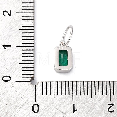 925 Sterling Silver Cubic Zirconia Charms STER-NH0014-01P-05-1