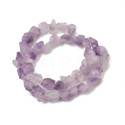 Natural Amethyst Beads Strands G-O173-010B-01-1
