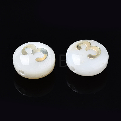 Natural Freshwater Shell Beads SHEL-N003-20-03-1