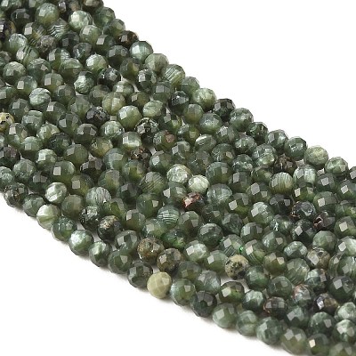 Natural Seraphinite Beads Strands G-K376-A02-3mm-1