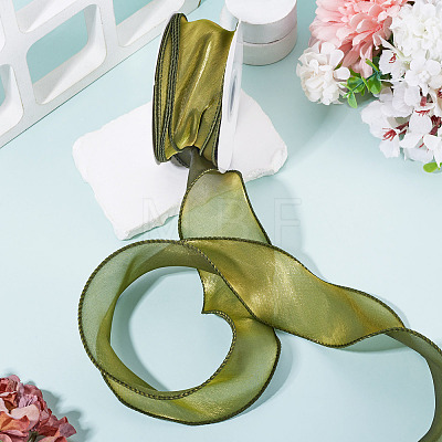 Polyester Mesh Ribbon SRIB-TAC0002-29B-03-1