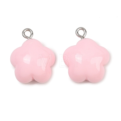 Opaque Resin Pendants RE-CBAF00C-12-1