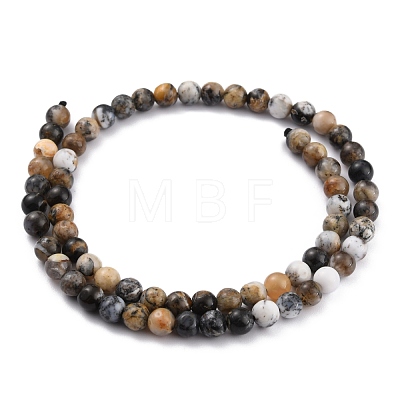 Natural African Opal Beads G-P446-01C-1